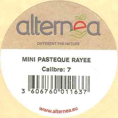 alternea different par nature mini pasteque rayee calibre:7 3606760011637 www.alternea.eu