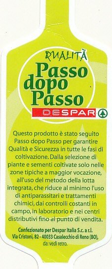 Despar passo dopo passo