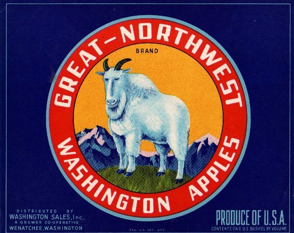 great northwest wasington apples produce of usa