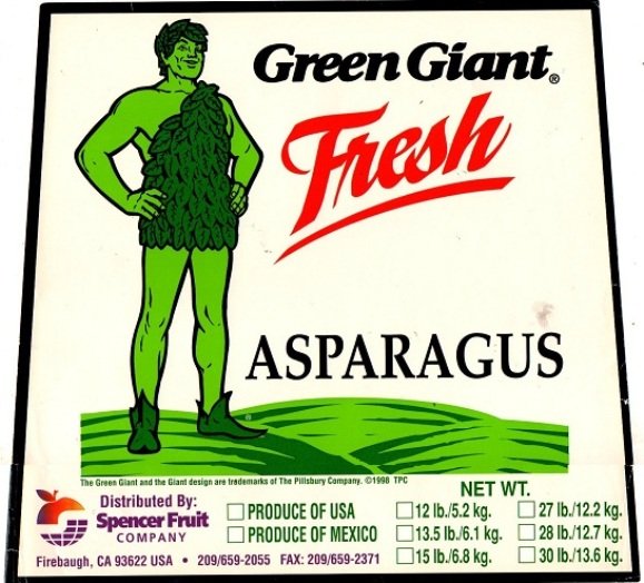 Green giant asparagus
