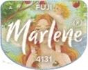Marlene fuji 4131
