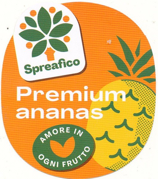 spreafico premium ananas amore in ogni frutto