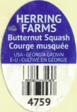 Herring Farms butternut squash courge musquee usa georgia grown 4759
