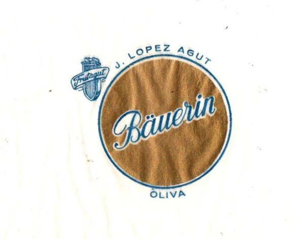 Bauerin j lopez agut oliva