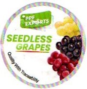 ppf exports seedless grapes quality with tracability