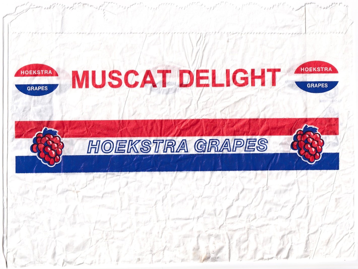 Hoekstra grapes muscat delight