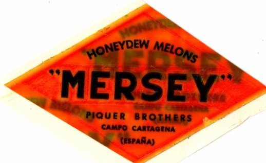 mersey honeydew melons piquers brothers campo cartagena espana