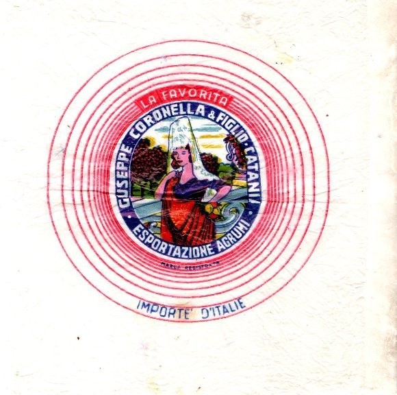 La favorita giuseppe coronella & figlio catania esportazione agrumi importe d italie