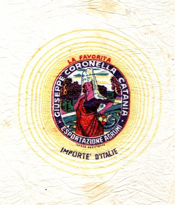 La favorita giuseppe coronella & figlio catania esportazione agrumi importe d italie