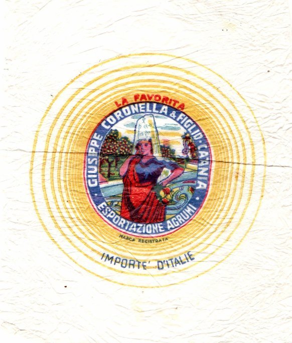 La favorita giuseppe coronella & figlio catania esportazione agrumi importe d italie
