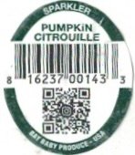 Bay Baby Produce sparkler pumpkin citrouille 816237001433 usa