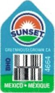 Sunset greenhousegrown.ca bho 4664 mexico mexique