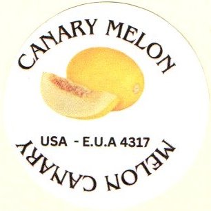 canary melon usa eua 4317 melon canary
