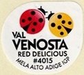 Val venosta red delicious #4015 mela alto adige igp