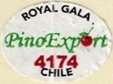 pino export royal gala 4174 chile