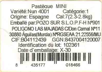 pasteque mini origine : espagne 8435177018466