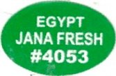 Jana Fresh egypt #4053