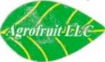 Agrofruit llc