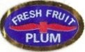fresh fruit plum