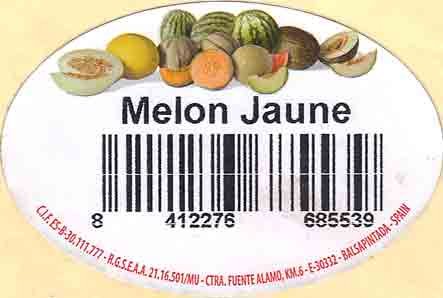 melon jaune 8412276685539 spain