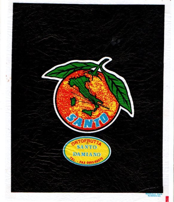 Santo ortofrutta santo damiano corioliano importe d italie