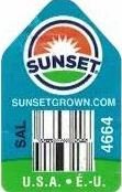 Sunset sunsetgrown.com sal 4664 usa eu