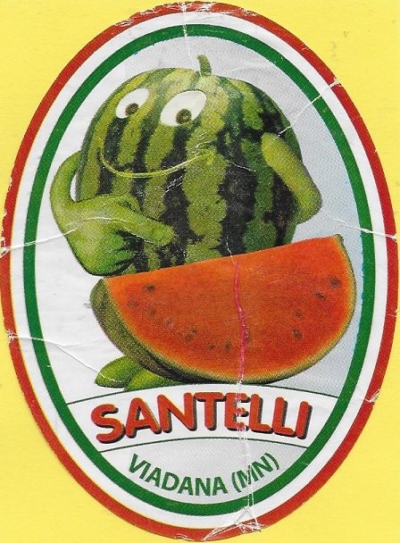 Santelli viadana(mn)