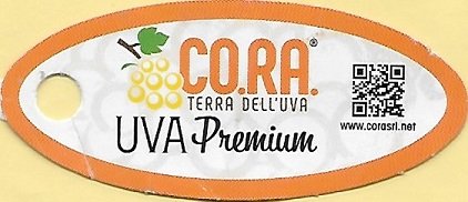 Cora terra dell uva uva premium azienda agricola il casttello