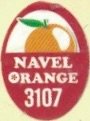 navel orange 3107