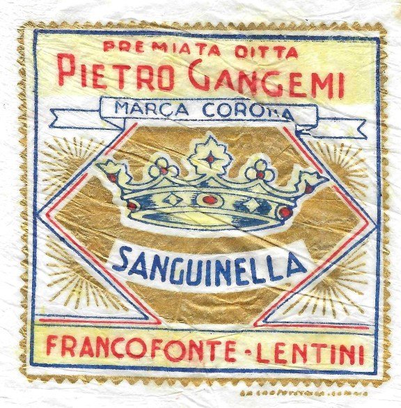 sanguinella pietro