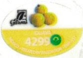 AM Garni guavo 4299 mexico treated by irridiation