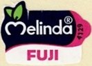 Melinda fuji 4129