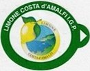 limone costa d amalfi i.g.p.