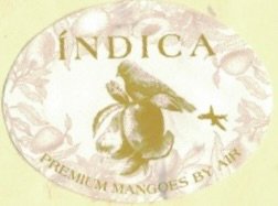 Indica premium mangoes by air