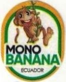 Mono banana ecuador
