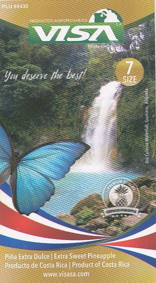 visa www.visasa.com productos agropecuarios fruits and roots you deserve the best product of costa rica size 7 7441019900043