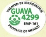 Guava treated by irridiation 4299 emp 161 produce of mexico