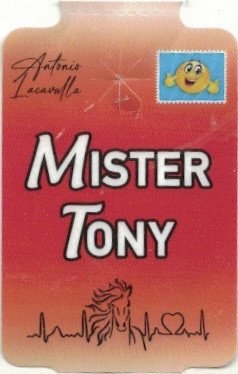 mister tony antonio lacavalla