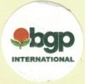 bgp international