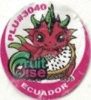 Fruit Wise plu #3040 ecuador