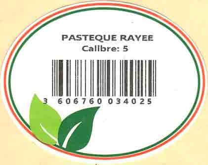 pasteque rayee calibre: 5 3606760034025