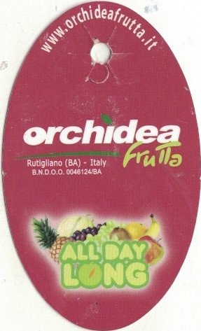 Orchidea frutta www.orchideafrutta.it all day long rutigliano italy operatore N° 48