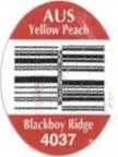 blackboy ridge aus yellow peach 4037