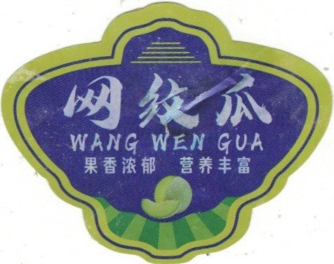 Wang Wen Gua