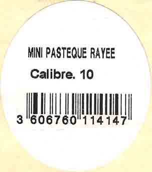 mini pasteque rayee calibre. 10 3606760114147