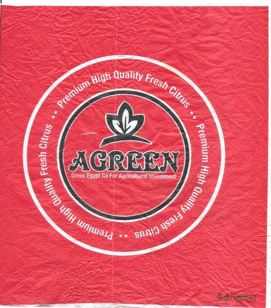 agreen premium high quality fresh citrus green egypt co for agricultural investment