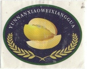 Yunnanxiao weixianggua