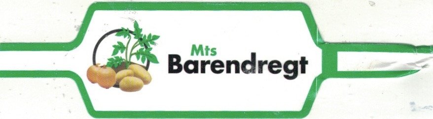 barendregt mts