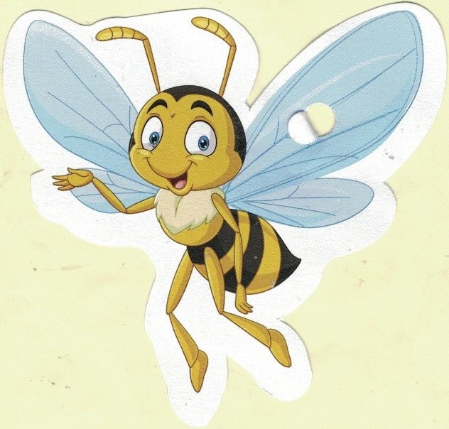 sansnom (abeille)