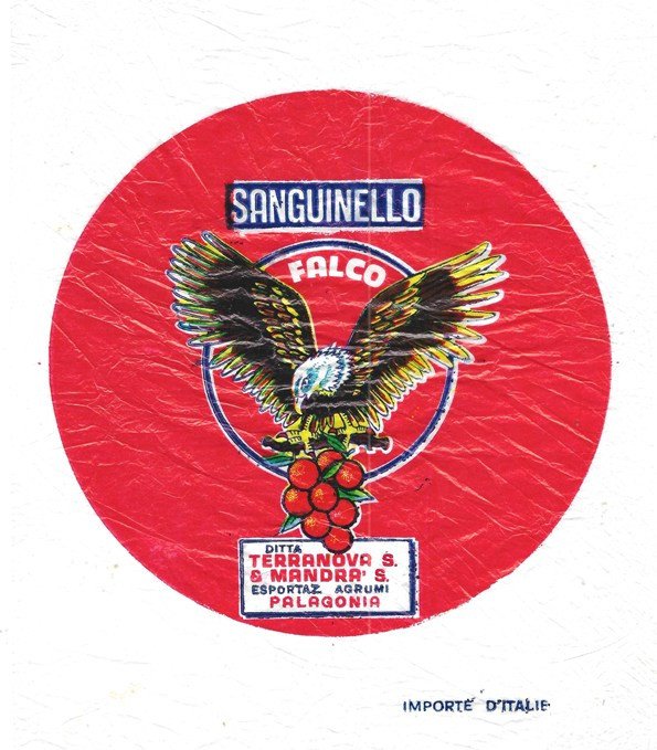 sanguinello falco ditta terranova s & mandra s esportaz agrumi palagonia importe d italie